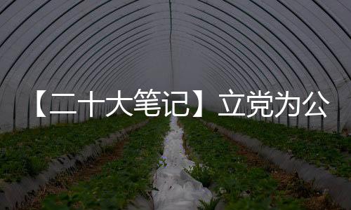 【二十大笔记】立党为公、执政为民的实质要求是什么？-PC28预测
