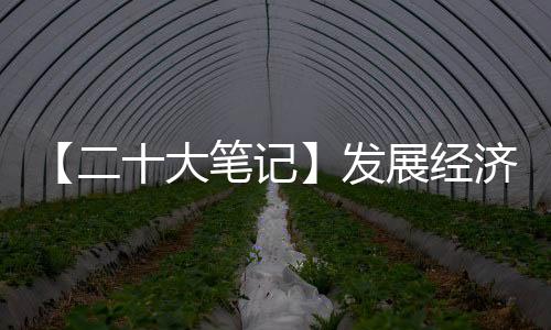 【二十大笔记】发展经济的着力点在哪里？-加拿大28预测