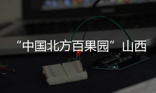 “中国北方百果园”山西运城:人勤春来早 果树管护忙-PC28