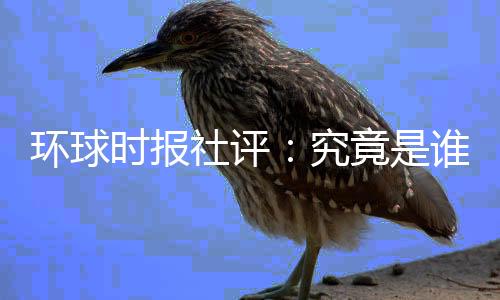 环球时报社评：究竟是谁在损坏中美日内瓦一致？-加拿大28