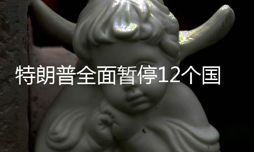 特朗普全面暂停12个国家的公民进入美国-加拿大28预测