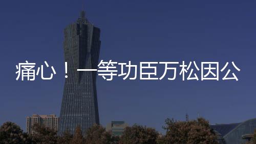 痛心!一等功臣万松因公献身-加拿大28预测