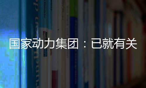 国家动力集团：已就有关状况向相关部分告发-PC28预测