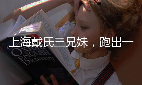 上海戴氏三兄妹，跑出一个芯片宗族-PC28预测