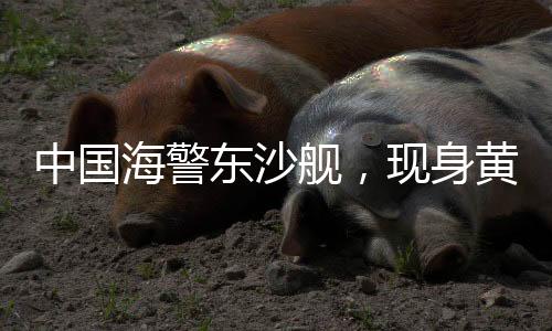 中国海警东沙舰,现身黄岩岛-PC28