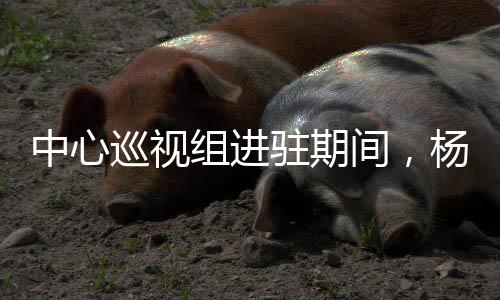 中心巡视组进驻期间,杨人平被查-PC28