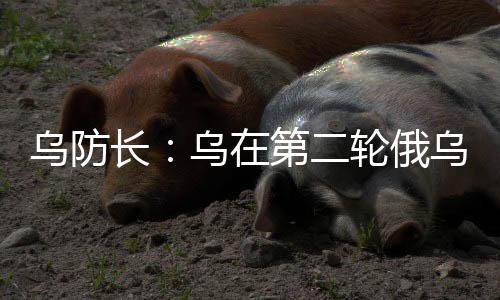 乌防长：乌在第二轮俄乌商洽中再提停火30天-加拿大28