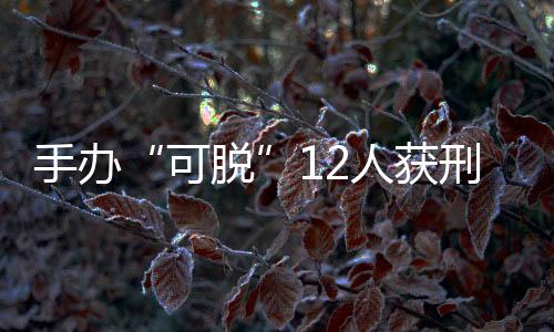 手办“可脱”12人获刑,上海给二次元画红线-加拿大28预测