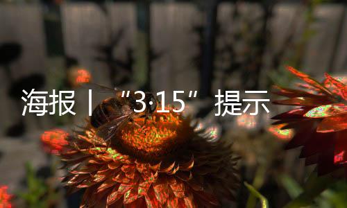 海报丨“3·15”提示：留神这些消费圈套-加拿大28