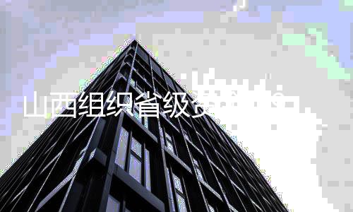 山西组织省级资金4.95亿元支撑村庄e镇-加拿大28