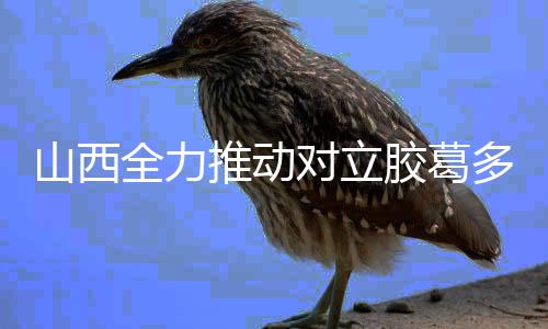 山西全力推动对立胶葛多元化解法治化-PC28预测