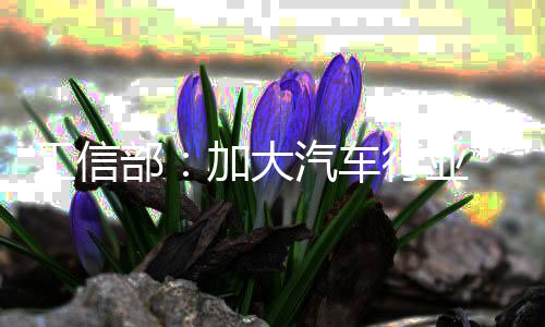 工信部:加大汽车行业“内卷式”竞赛整治力度-PC28预测