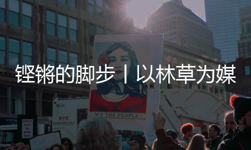 铿锵的脚步丨以林草为媒 山西这样点绿成金-PC28预测