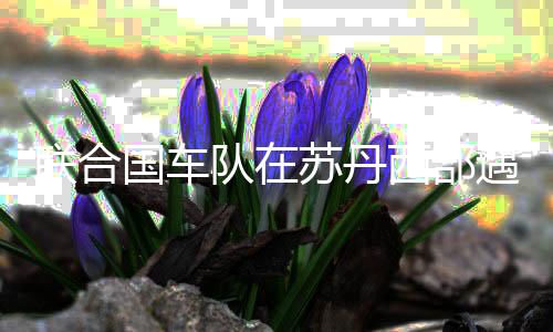 联合国车队在苏丹西部遇袭 形成多人伤亡-加拿大28