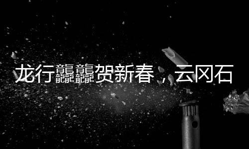龙行龘龘贺新春，云冈石窟博物馆迎春活动“龙”重上台-加拿大28
