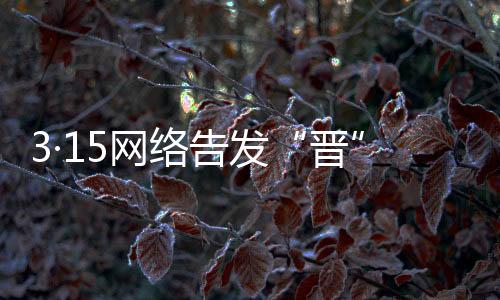 3·15网络告发“晋”讲堂｜避“雷”！警觉网购中的多重危险-加拿大28